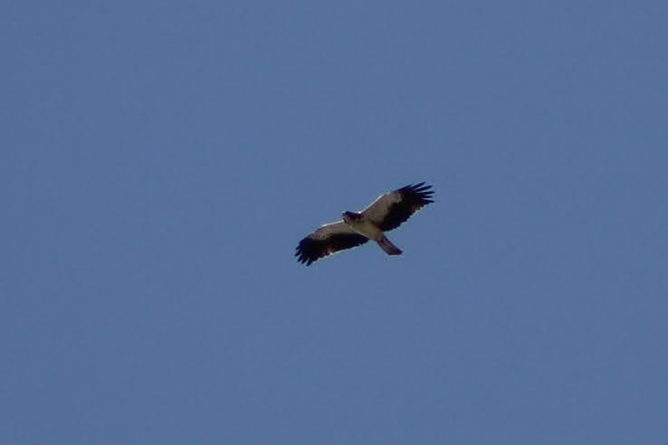 PSX_20210905_165539.jpg