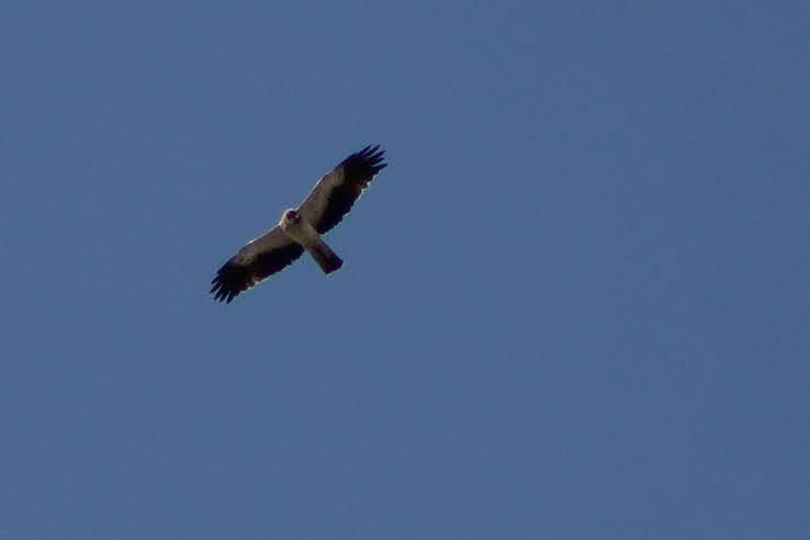 PSX_20210905_152138.jpg