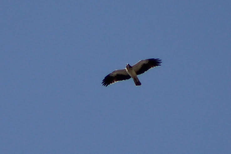 PSX_20210905_165620.jpg
