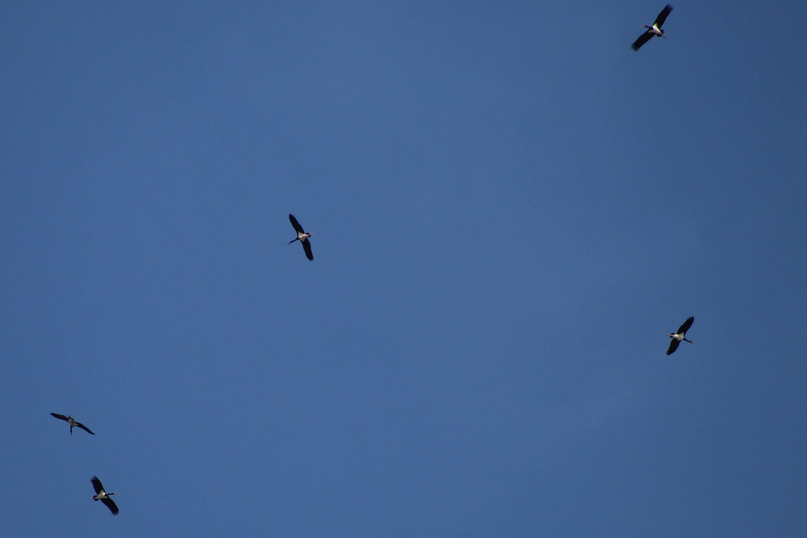 PSX_20220412_212048.jpg