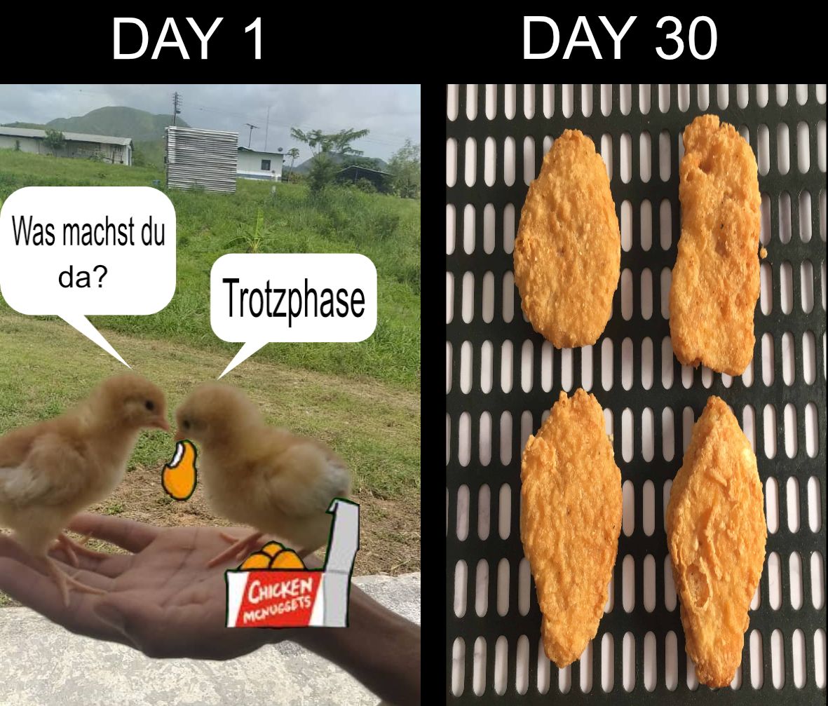 DAY.jpg