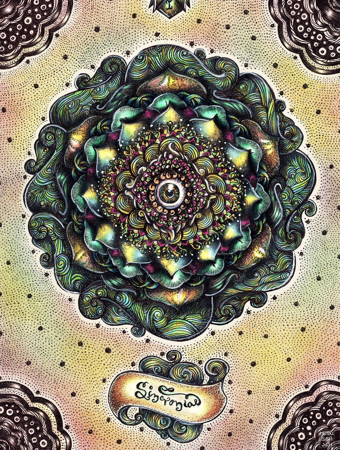 meduss.jpg