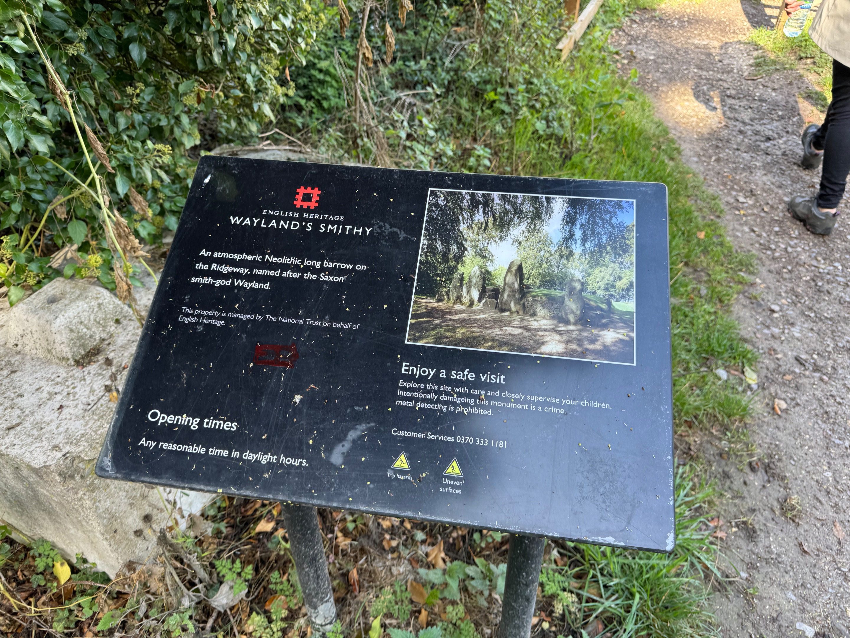 IMG_6803.jpeg
