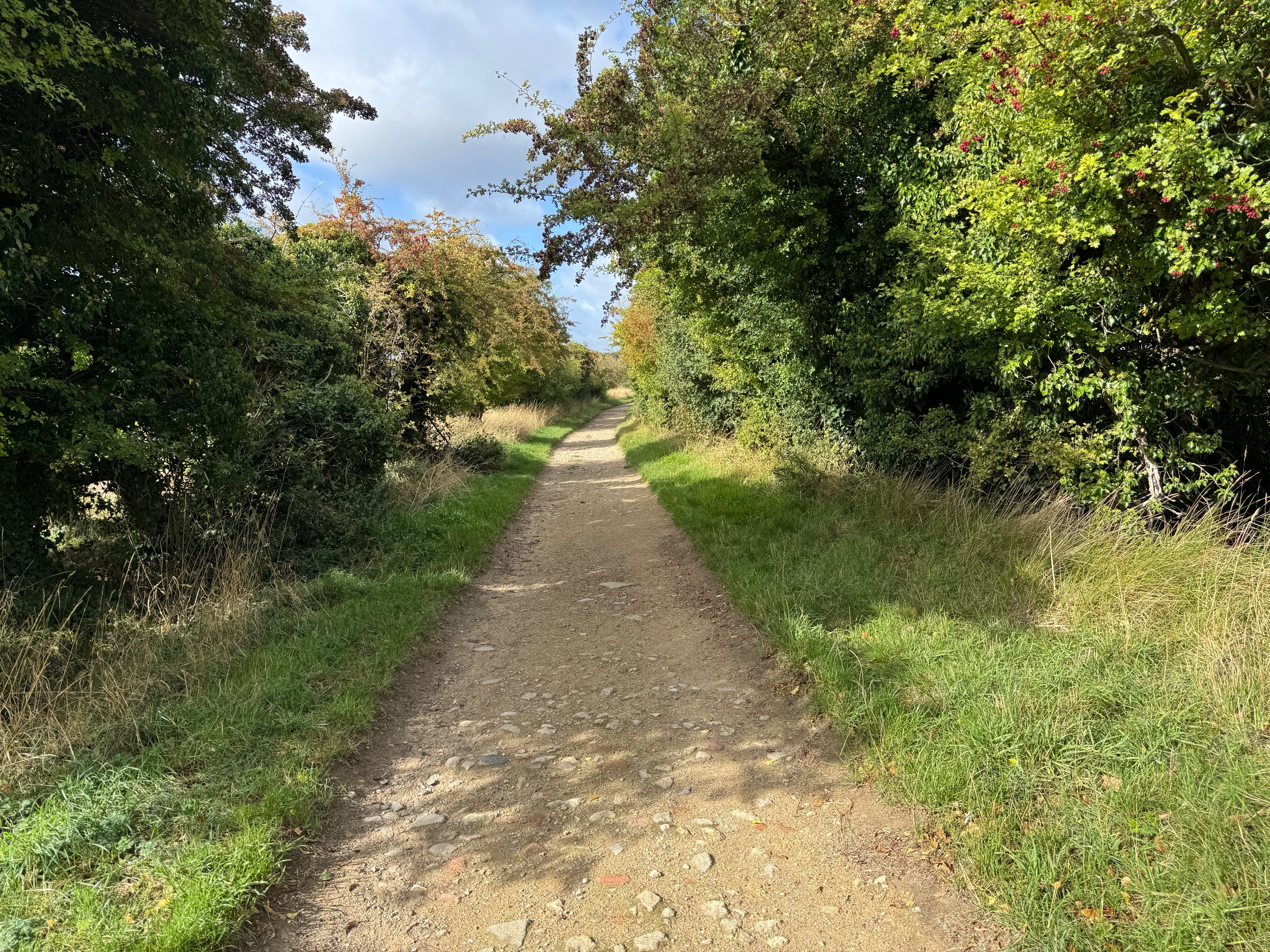 IMG_6799.jpeg