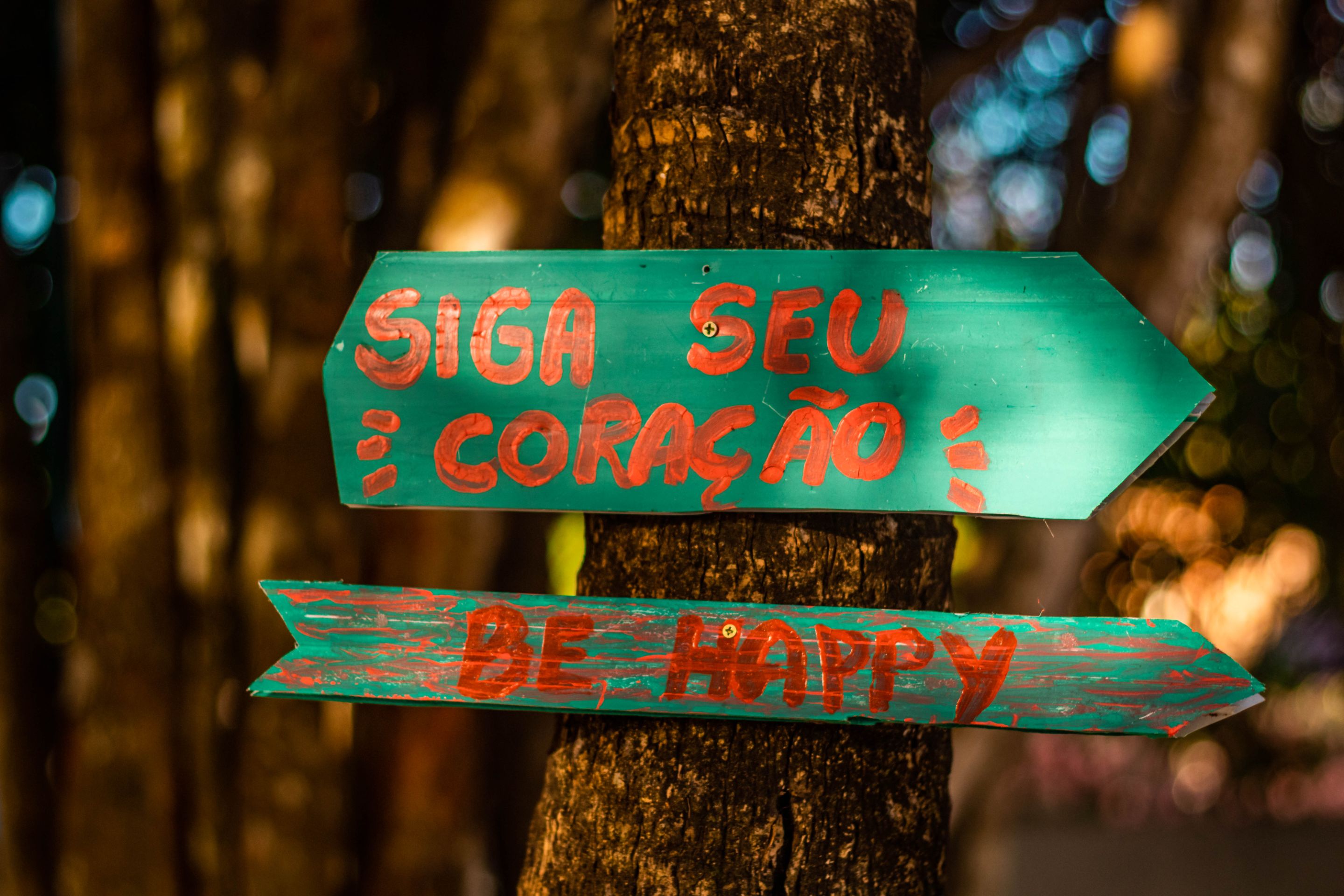 _MG_0711.jpg