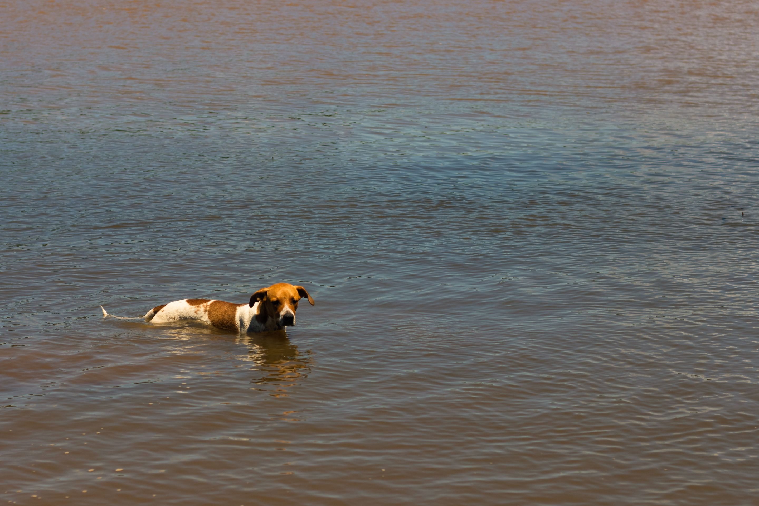 _MG_9106.jpg