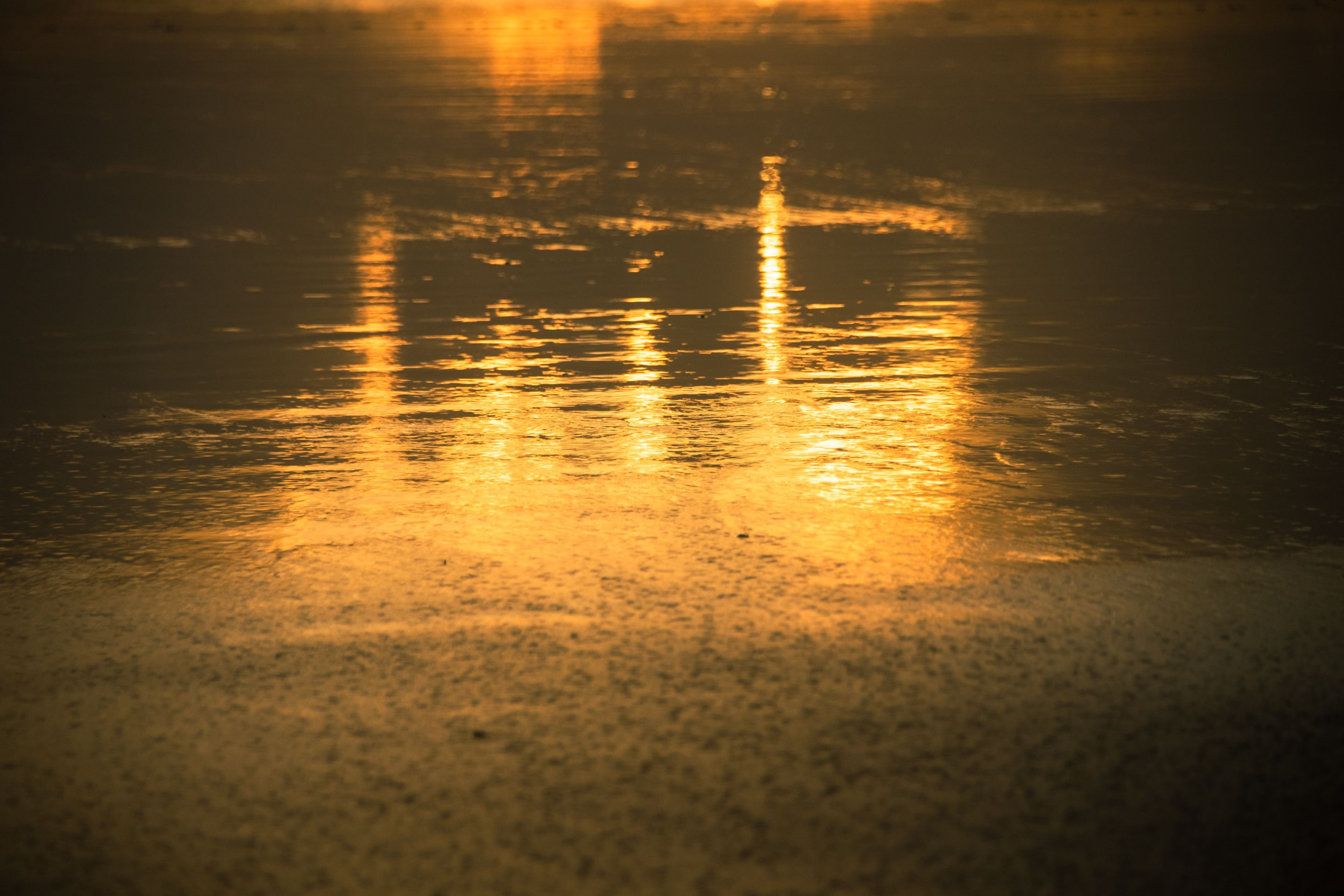 _MG_8429.jpg