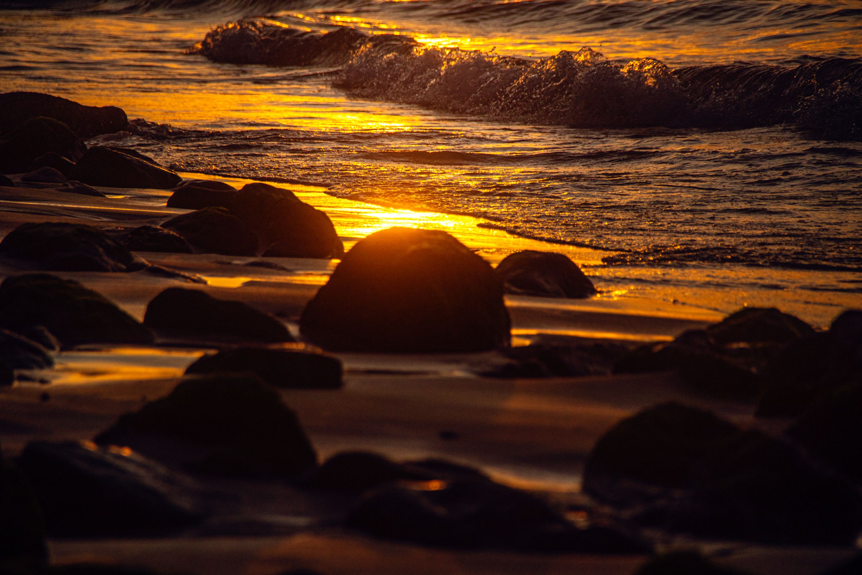 _MG_4086.jpg