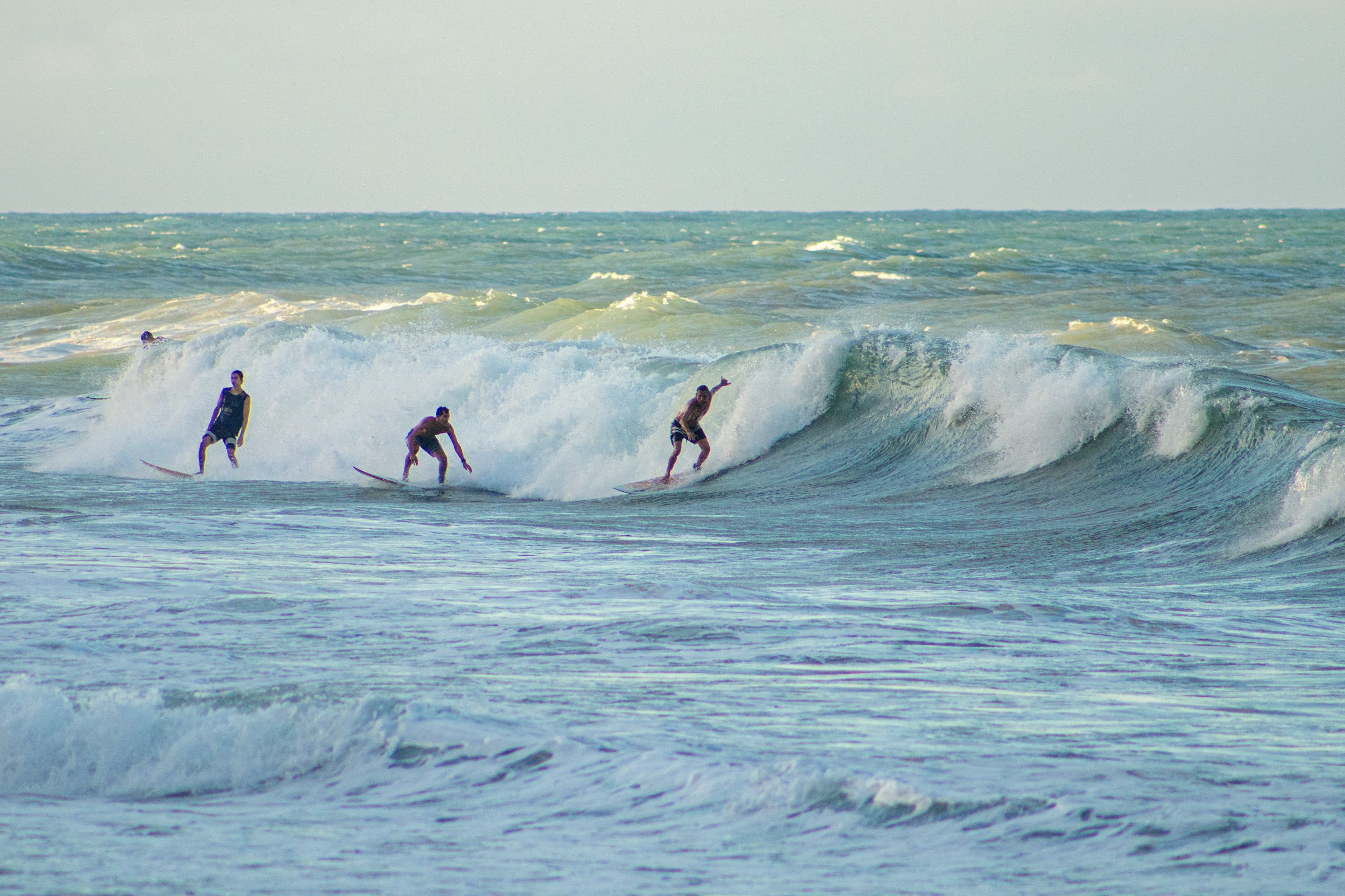 _MG_0782.jpg