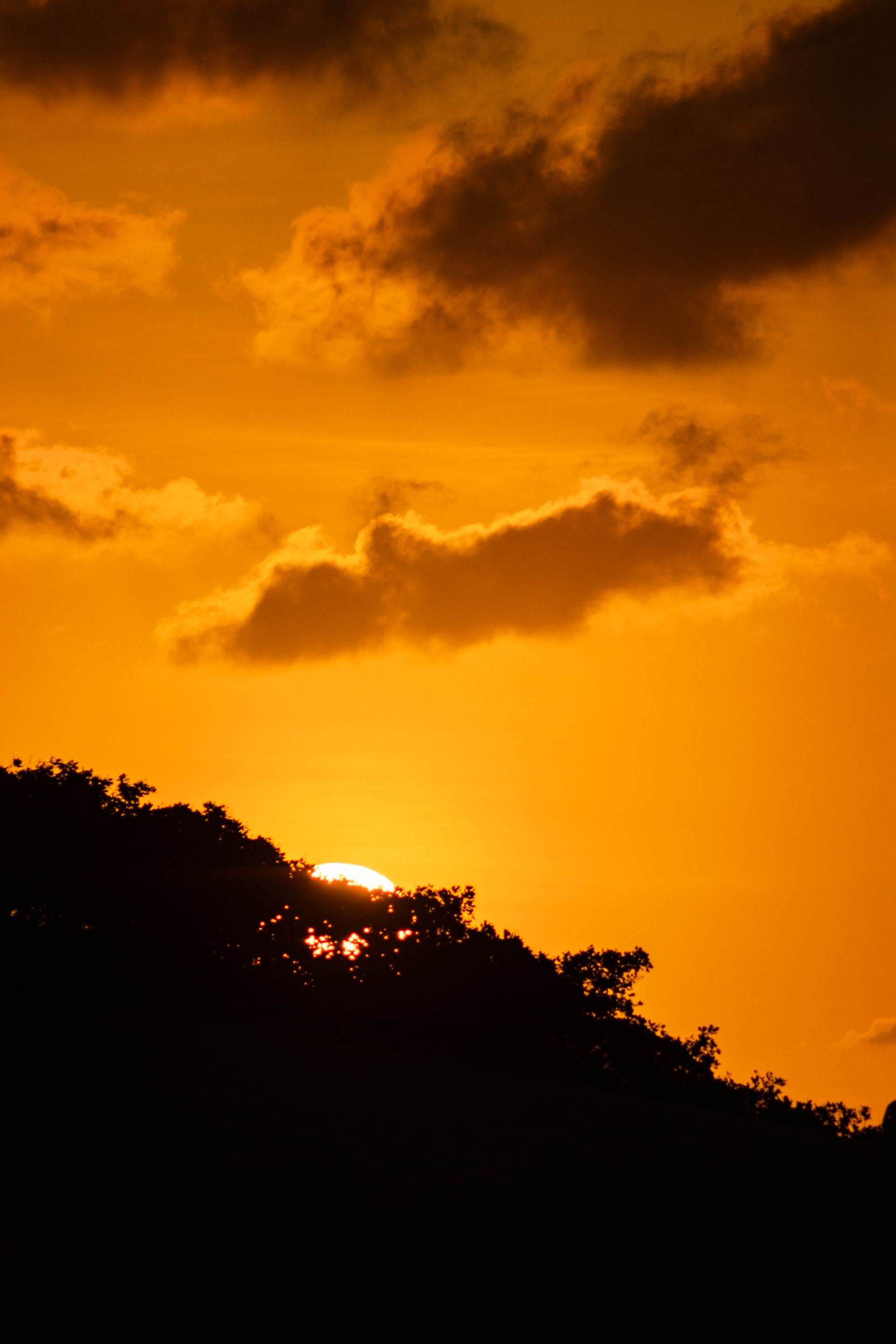 _MG_7164.jpg