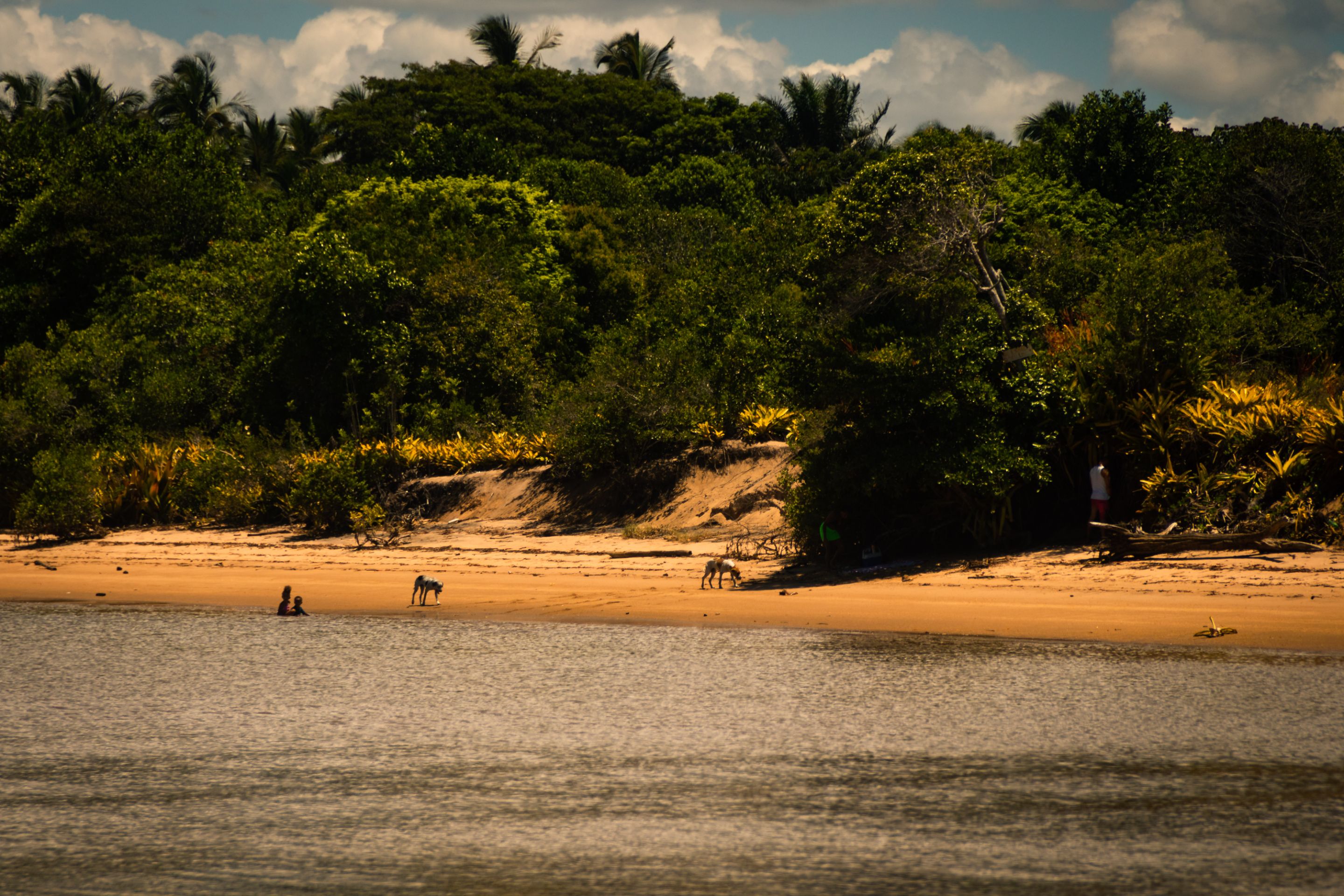 _MG_9009.jpg