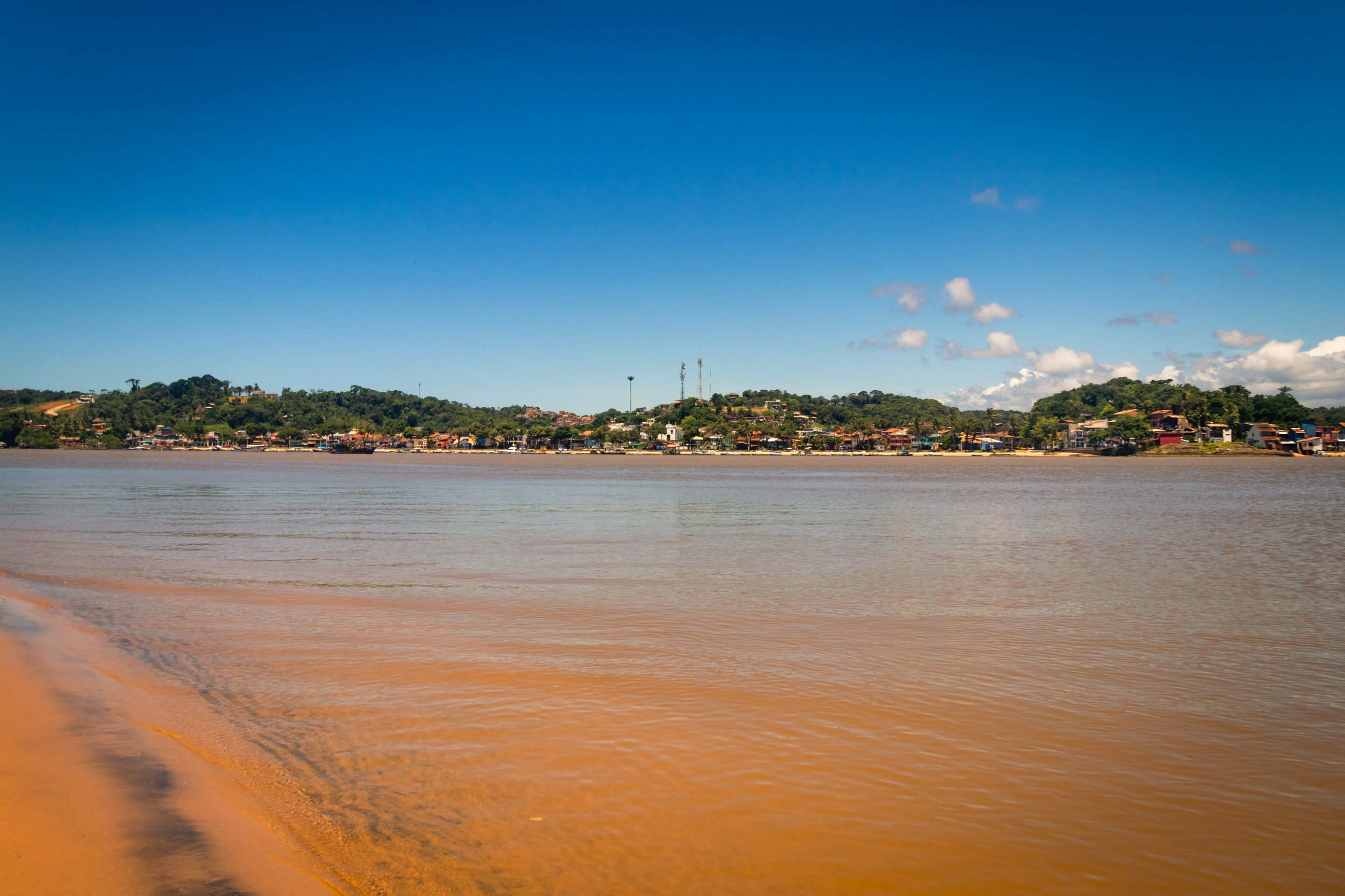 _MG_9018.jpg