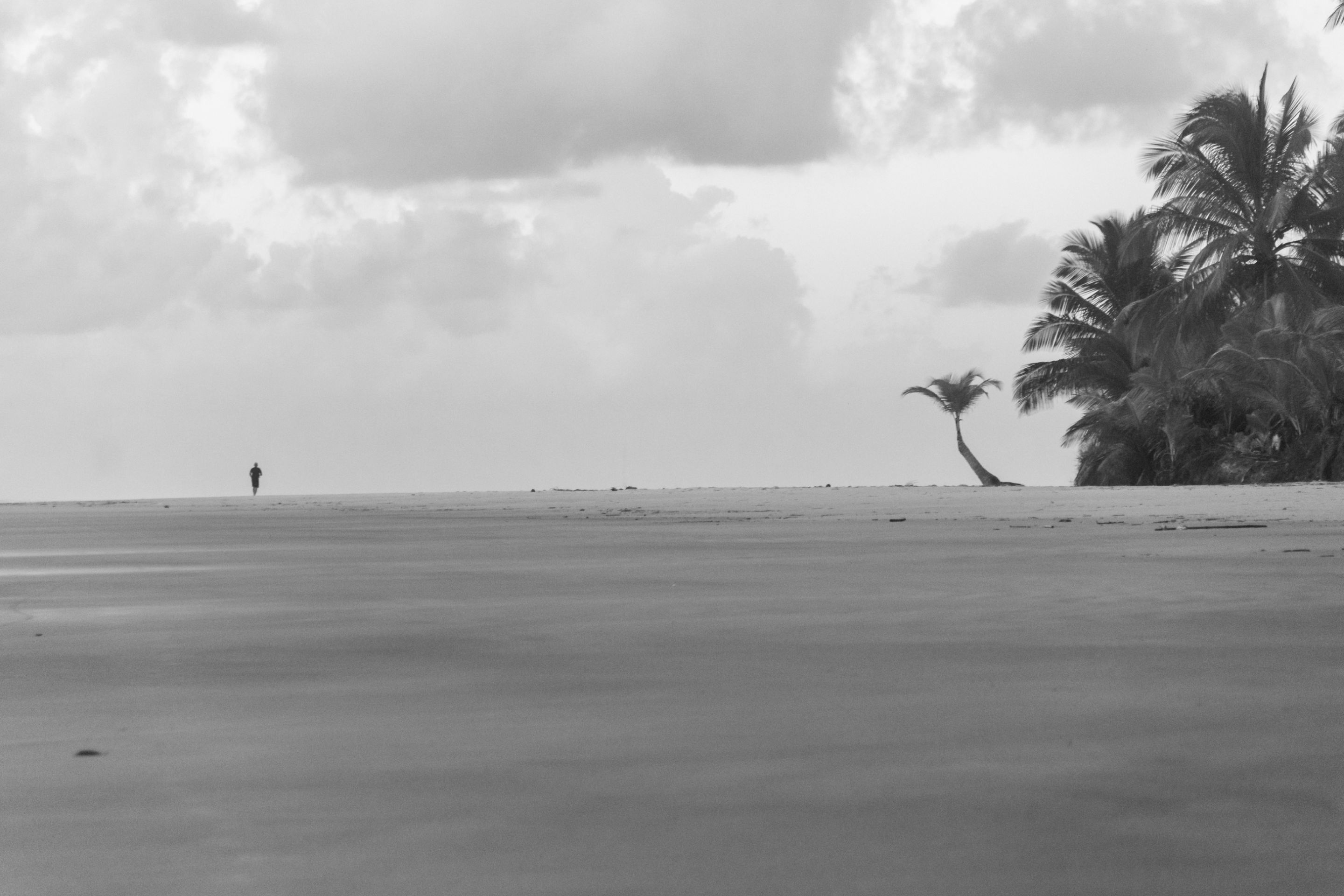 _MG_8384.jpg