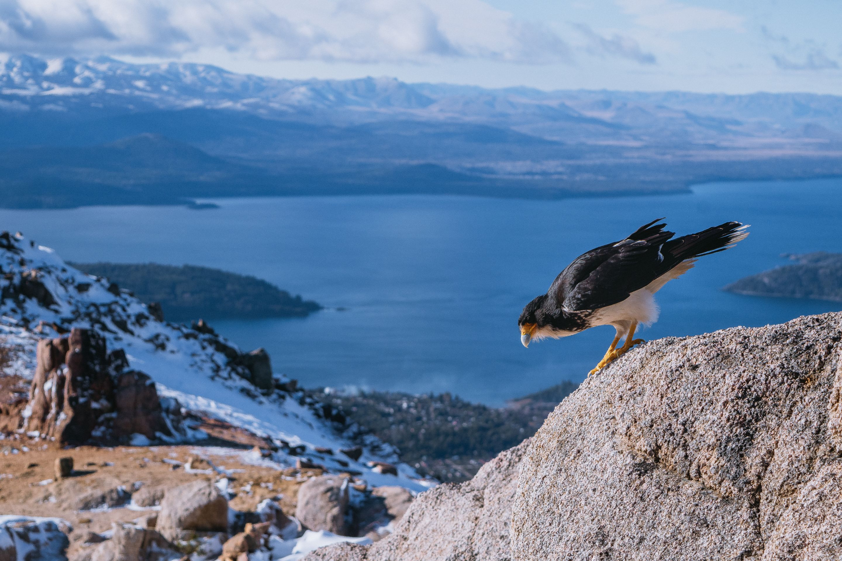 _DSC3887.jpg