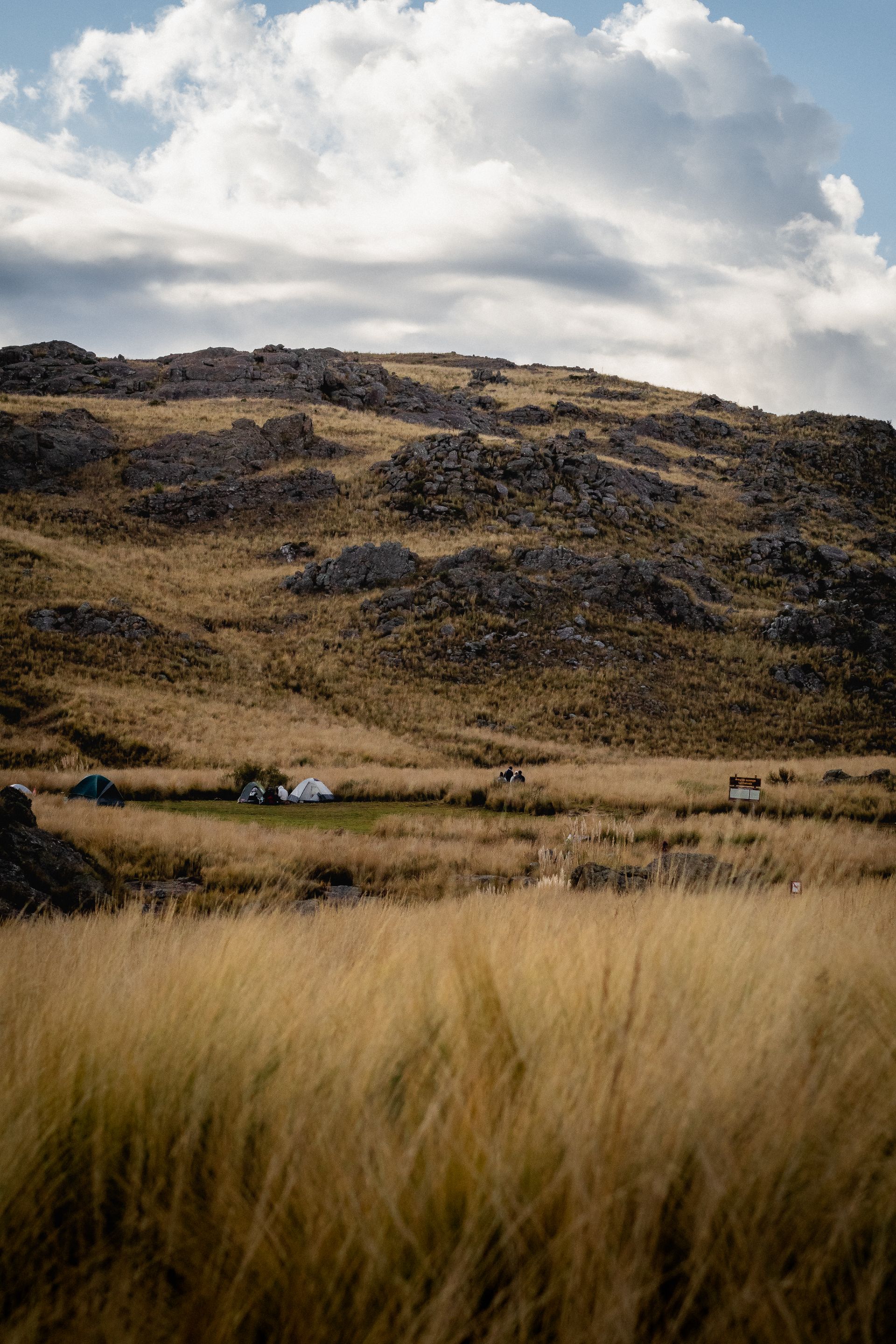 _DSC5684.jpg