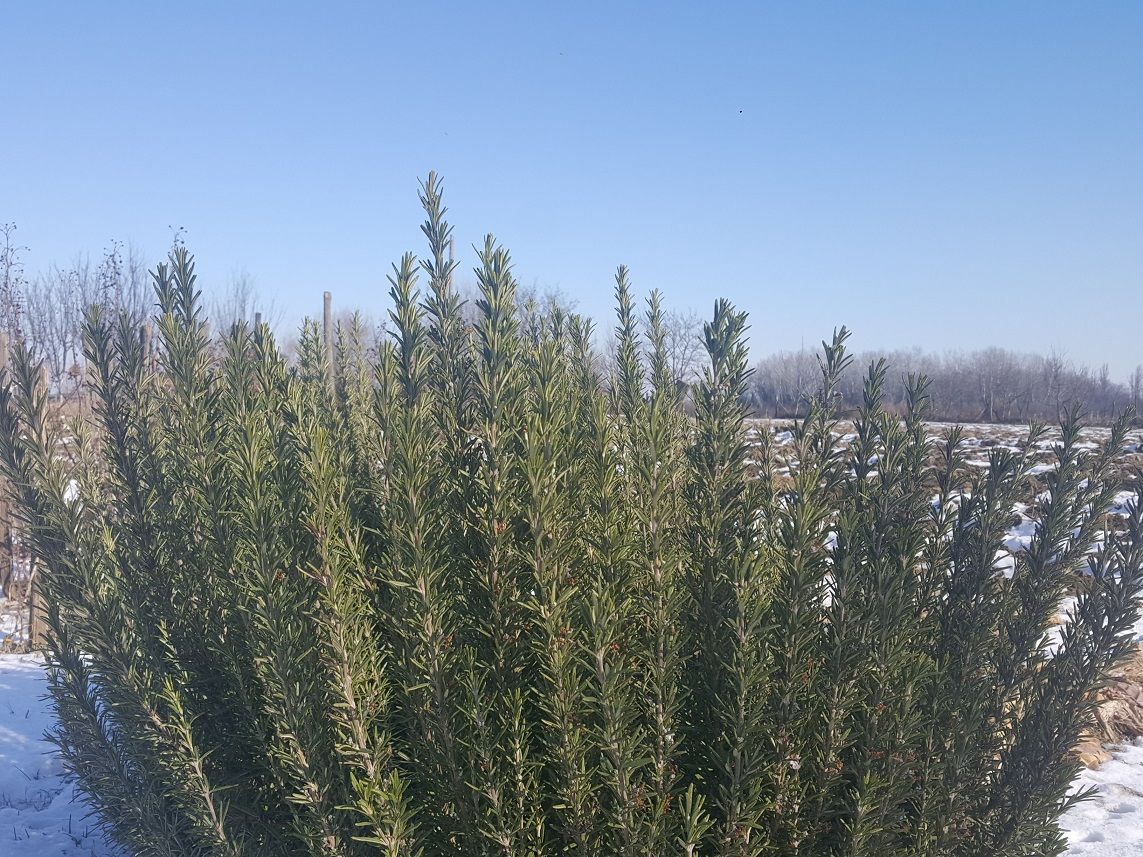 20220125_112342.jpg