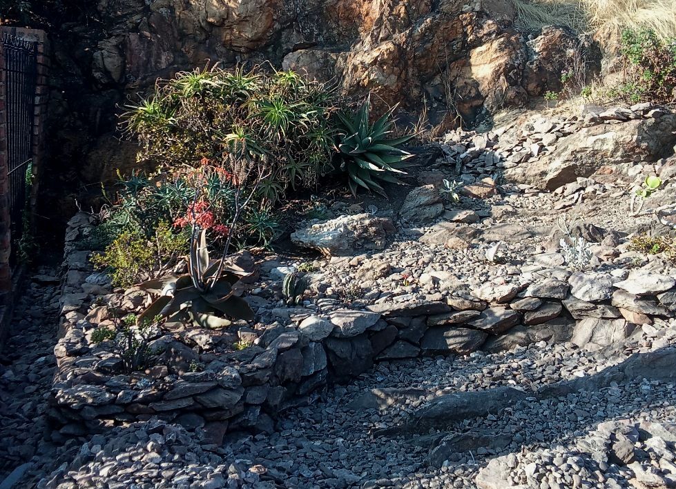 rockery 3.jpg