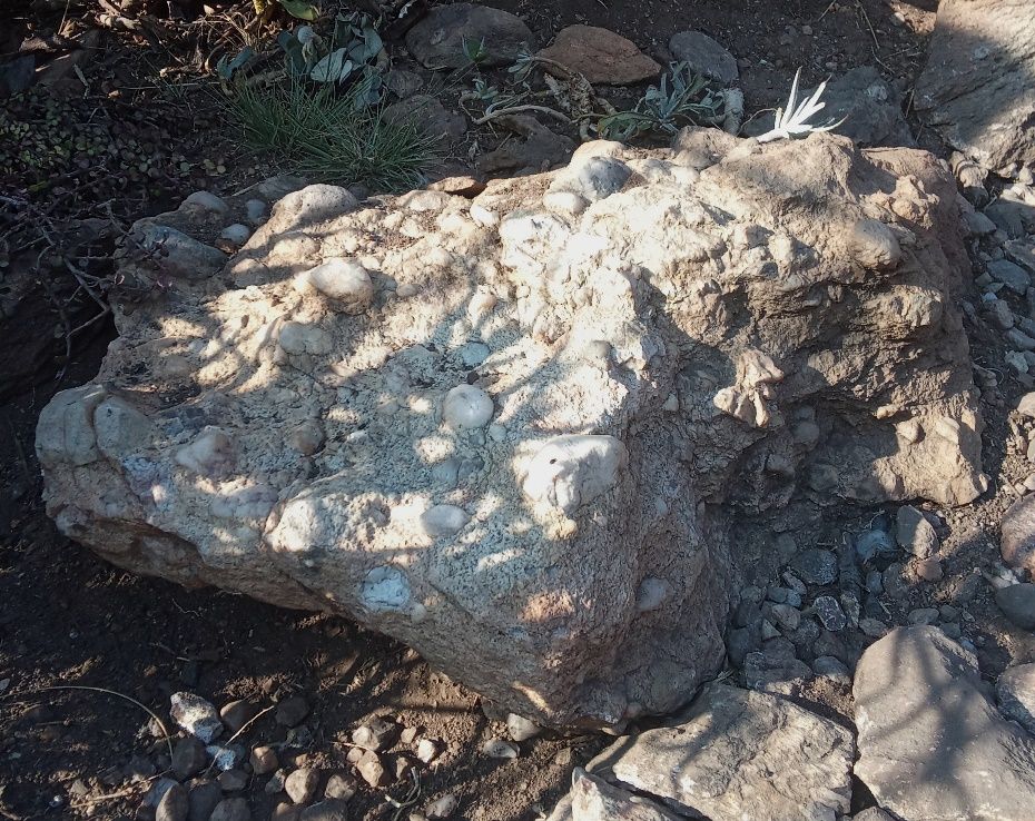 rock.jpg