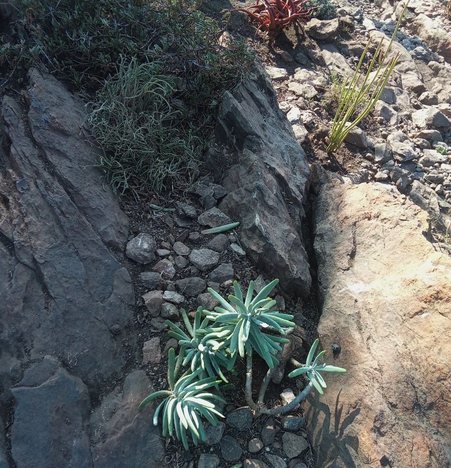 rock2.jpg