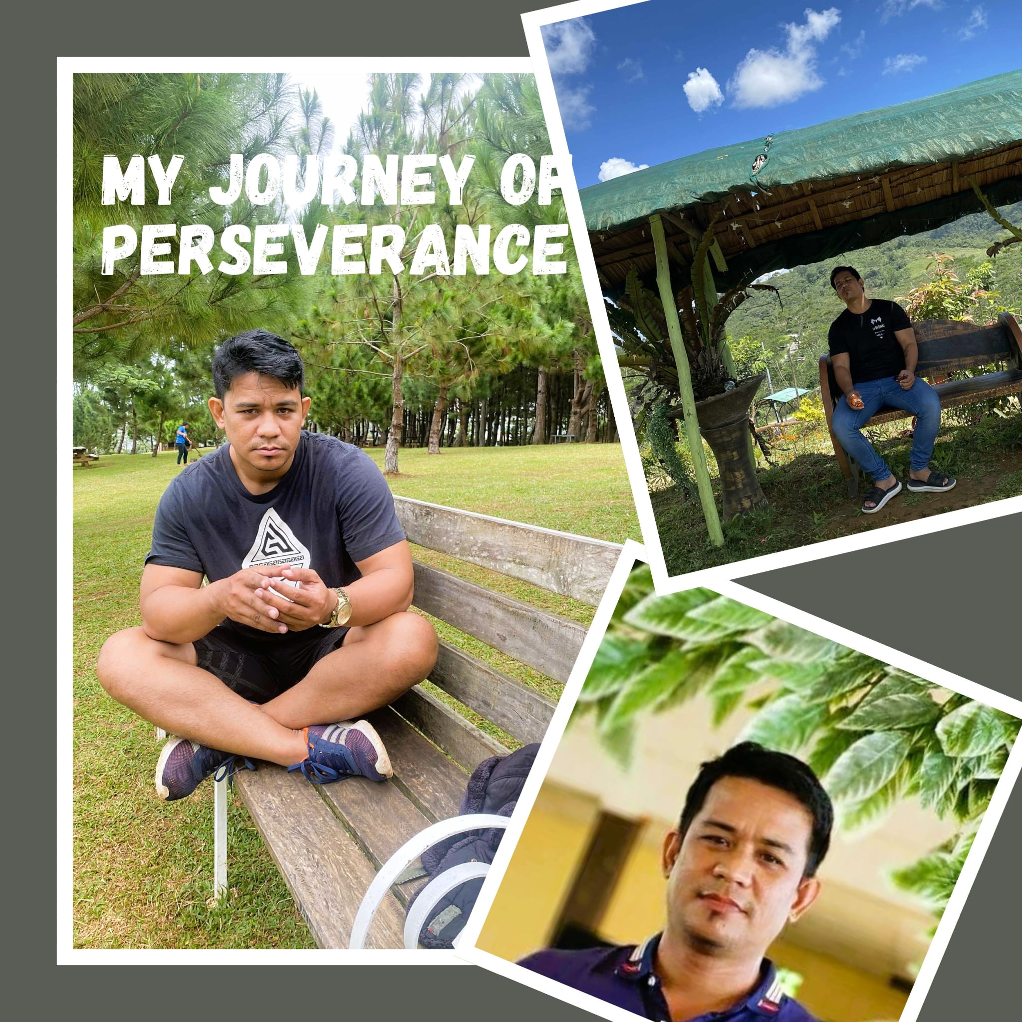 peakd canva photo collage.jpg