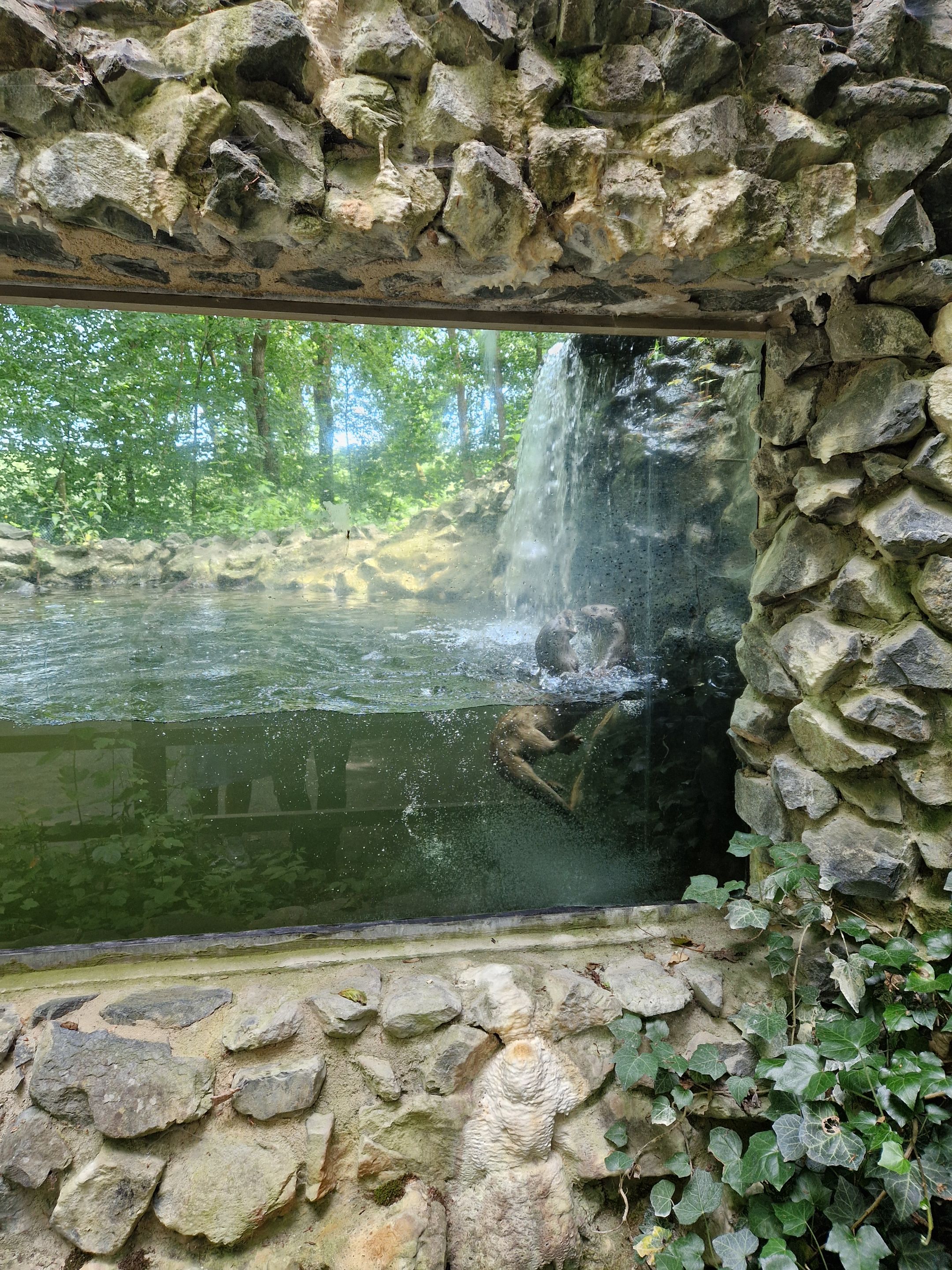 20250622_144014.jpg