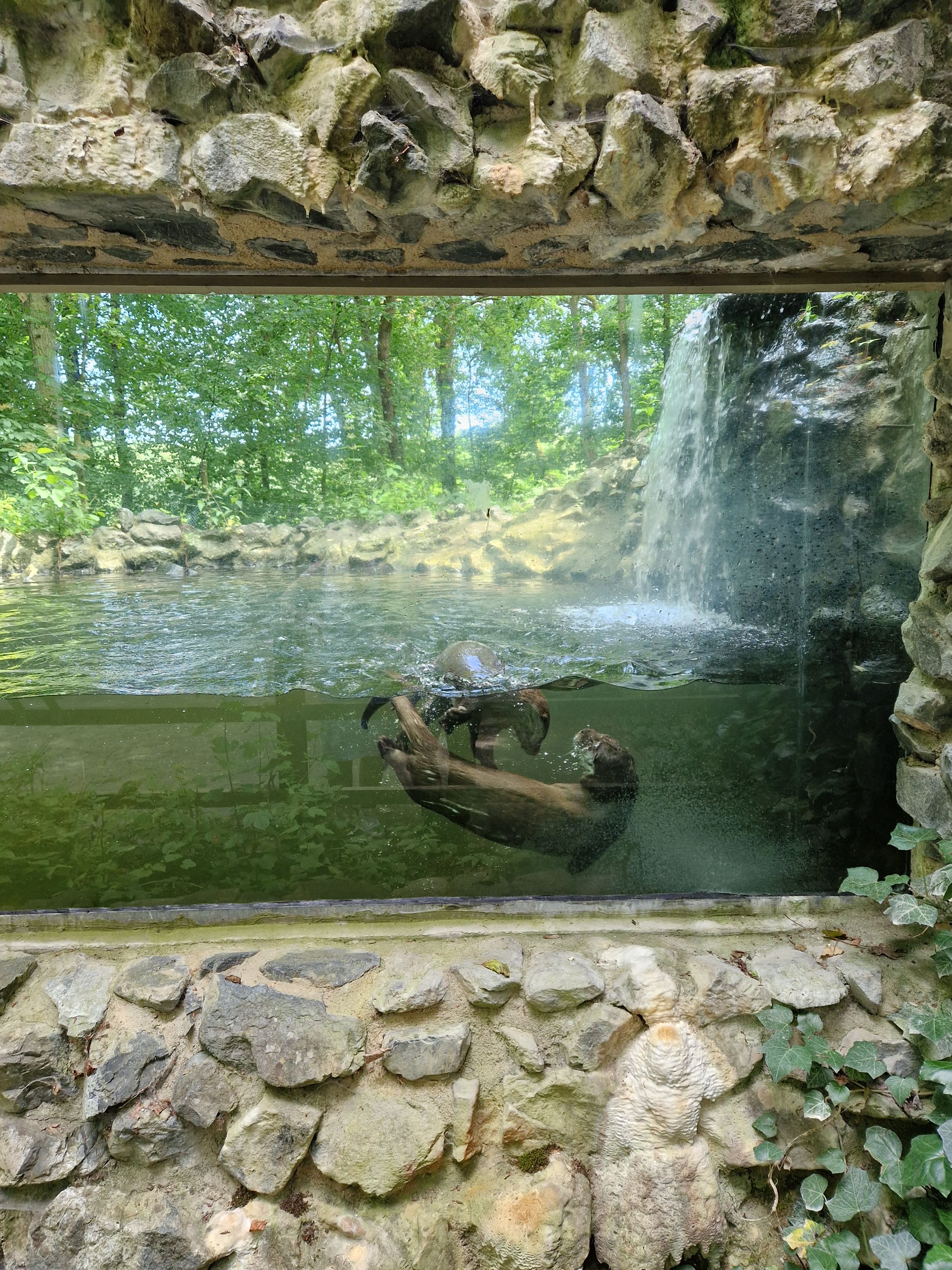 20250622_144011.jpg