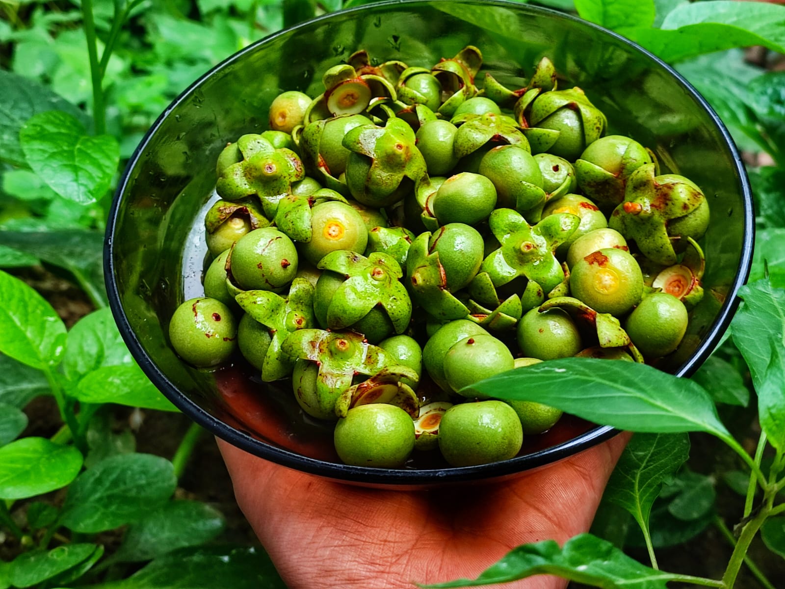 WhatsApp Image 2022-08-21 at 8.00.45 PM.jpeg