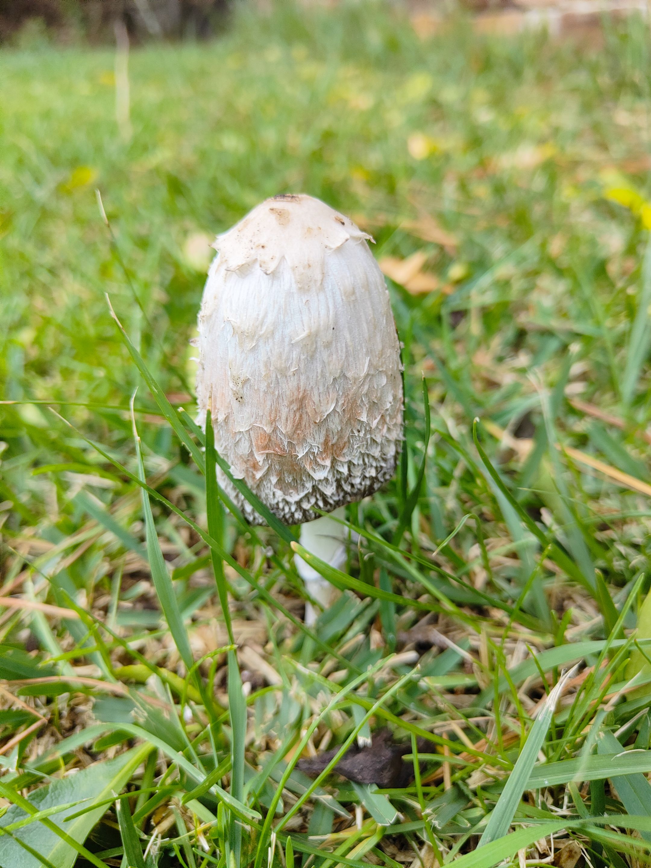 23wWyGphBio1of1H4fEf6j7oWVvysi5aHbfkB2TW8zZdNnqqQ4j9mrZmnDe8js3QZt4ks.jpg