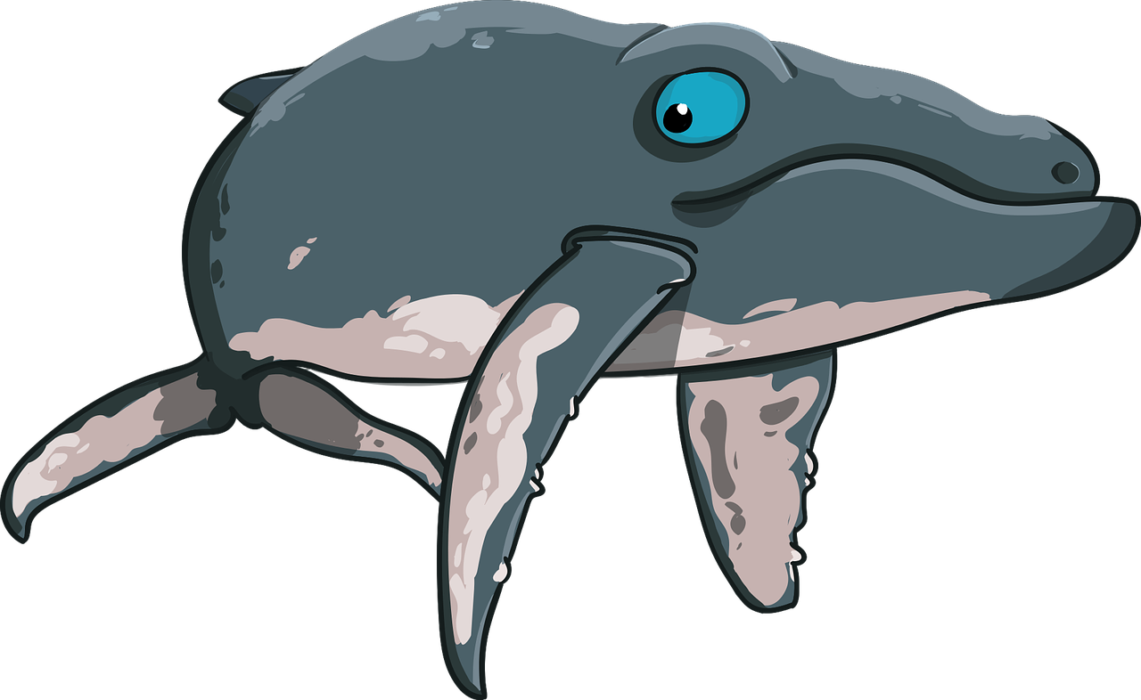 Whale.webp