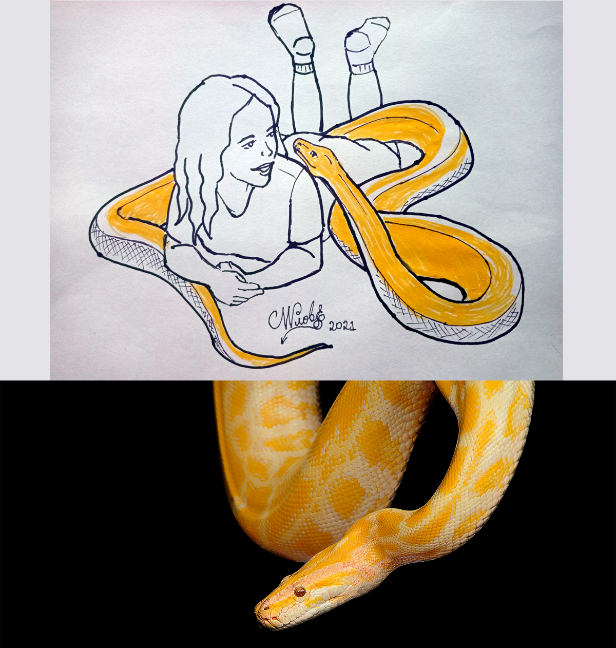 nagini-python.png