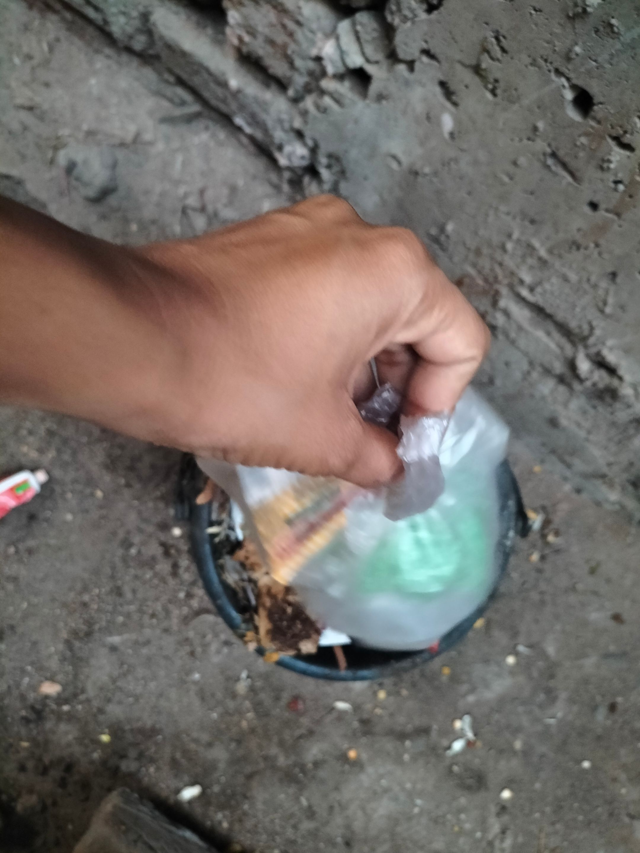IMG20250429185004.jpg