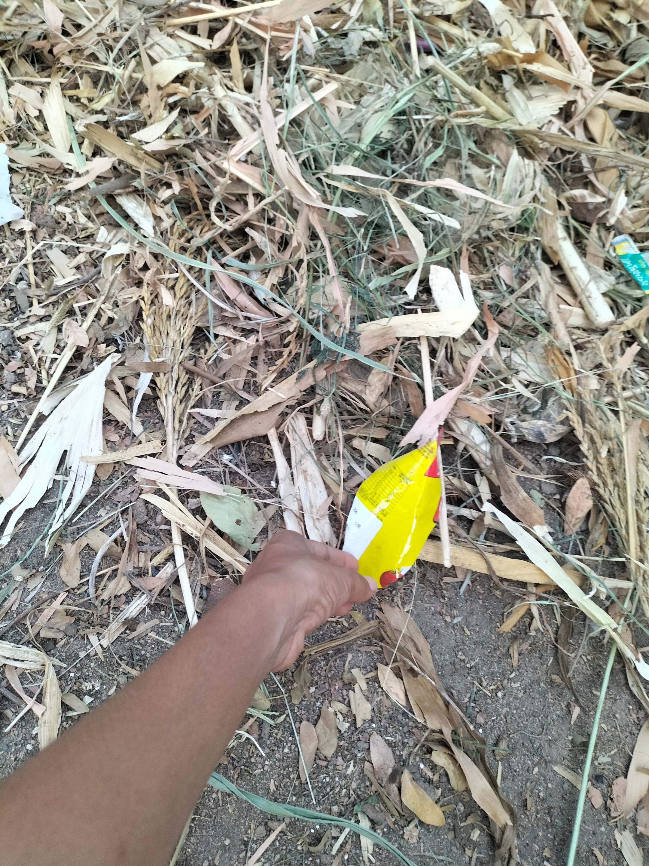 IMG20250423183559.jpg