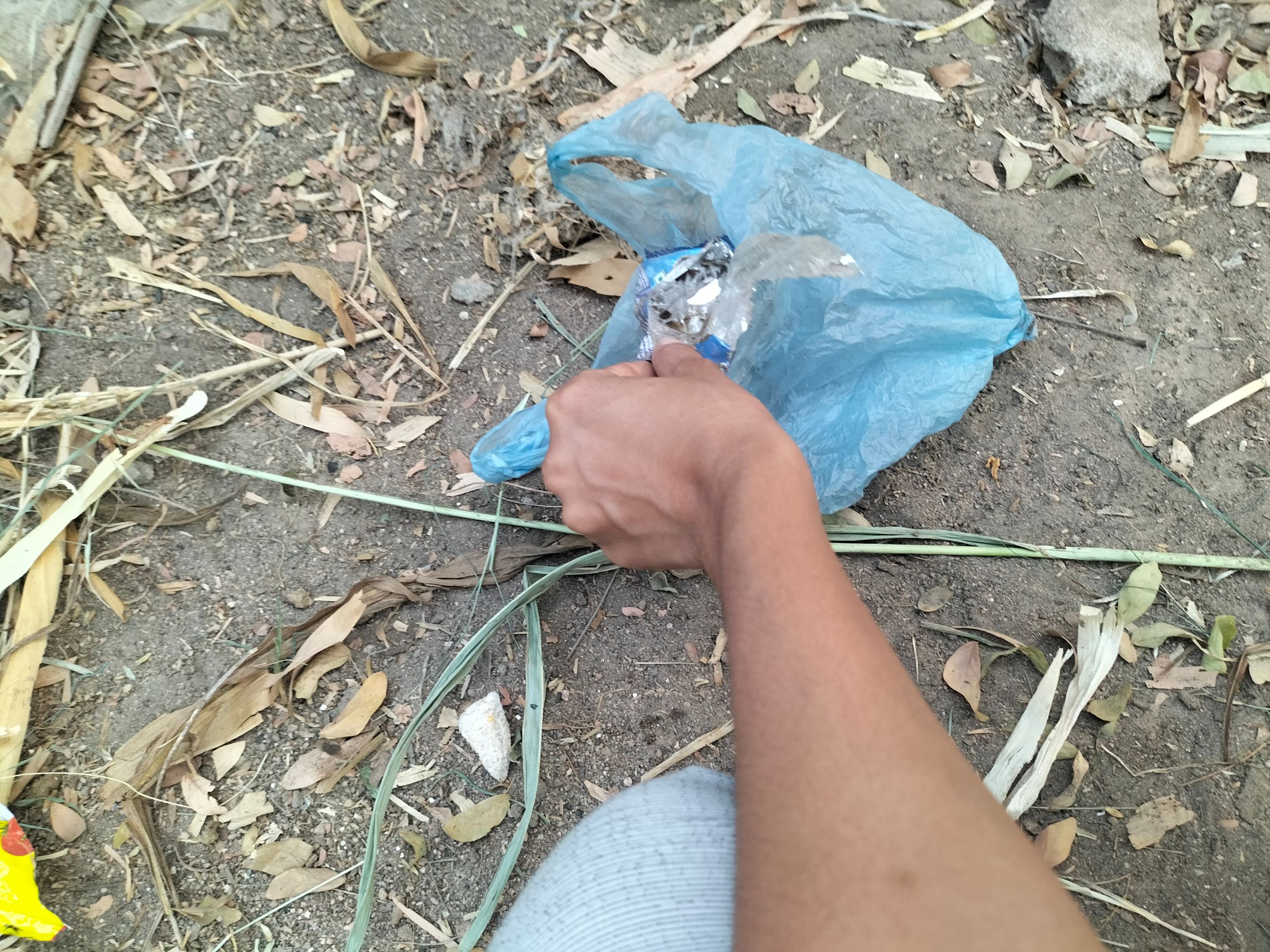 IMG20250423183552.jpg