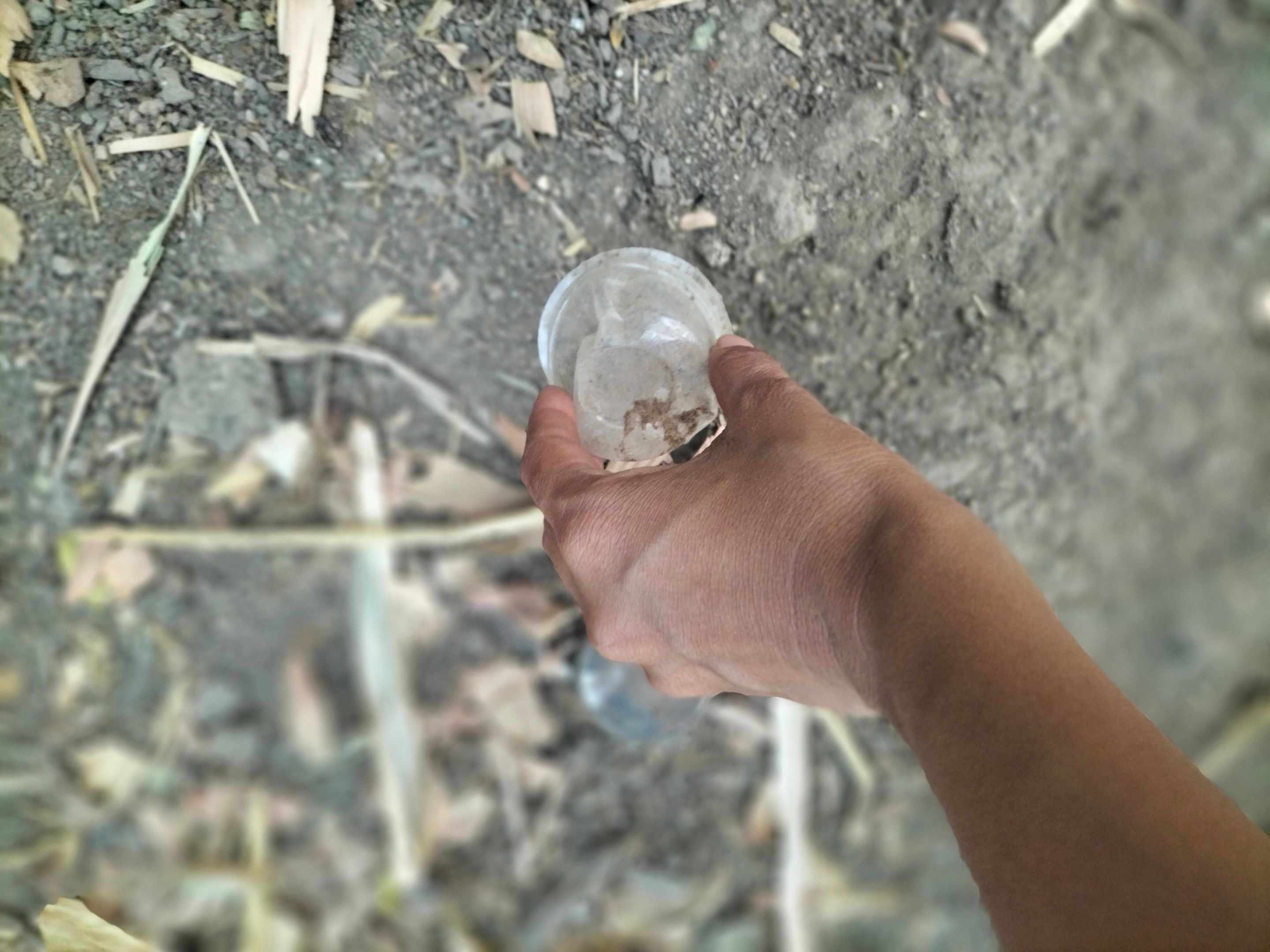 IMG20250423184016.jpg