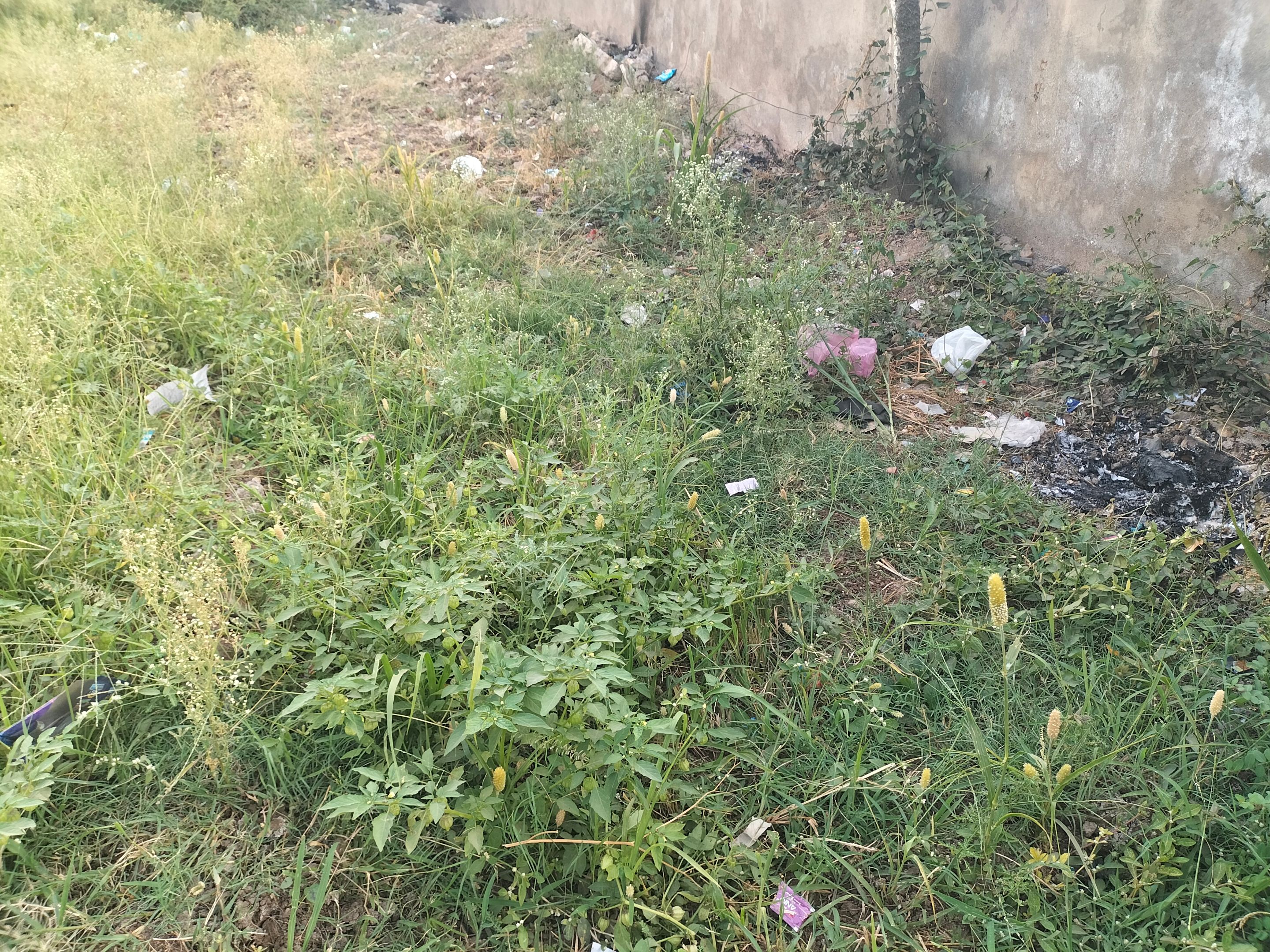 IMG20250503180706.jpg