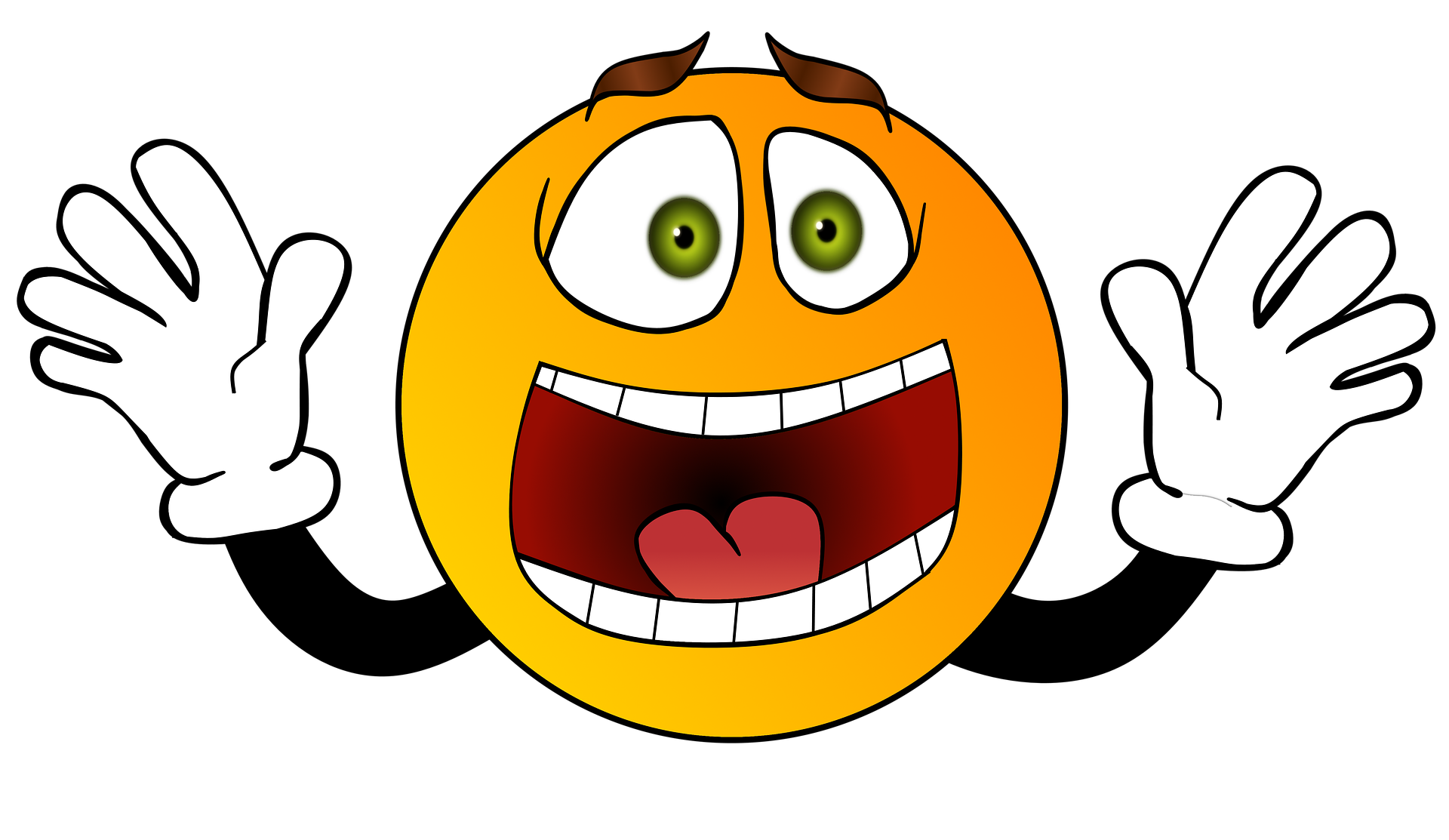 smiley-g4bcffcb80_1920.png