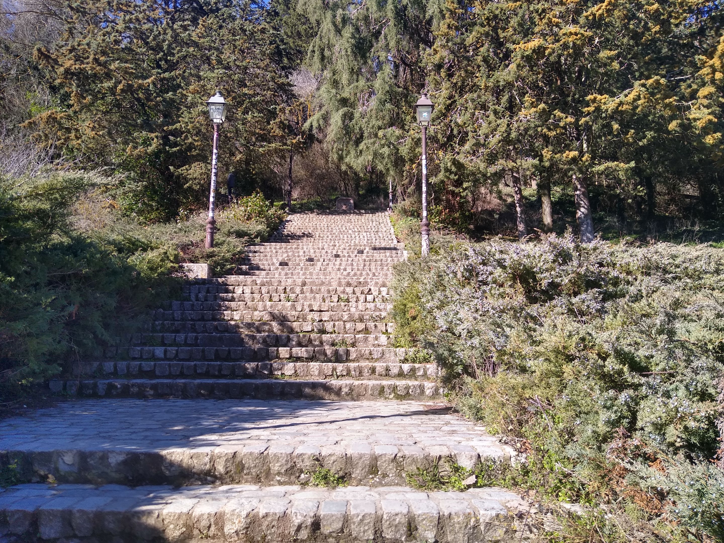 IMG_20230204_120249601_HDR.jpg