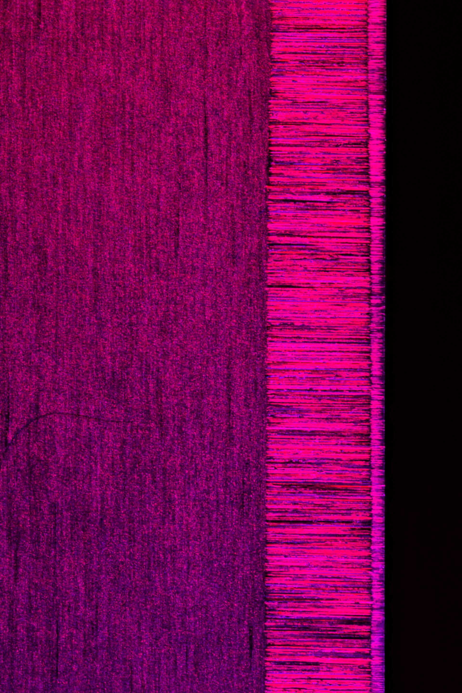 52009842589_0d21da0f6d_o.jpg