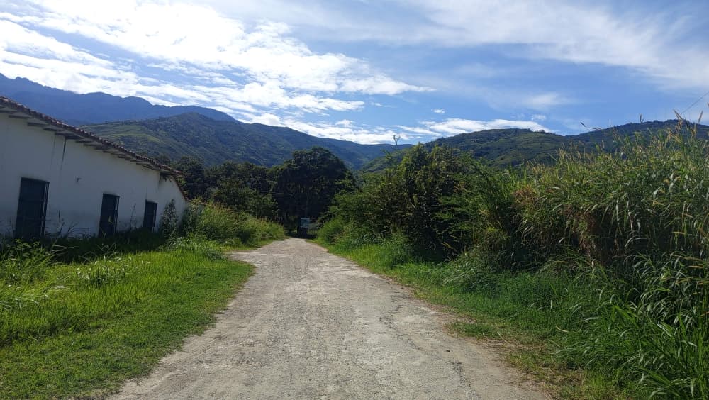 WhatsApp Image 2025-10-26 at 12.13.22 PM (1).jpeg