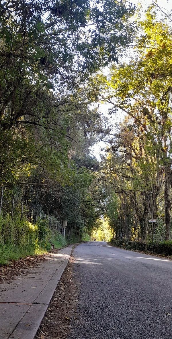 Ruta San Javier del Valle.jpg