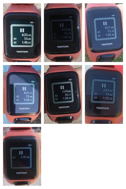 Collage de Fotos con Flores Simple Violeta.jpg