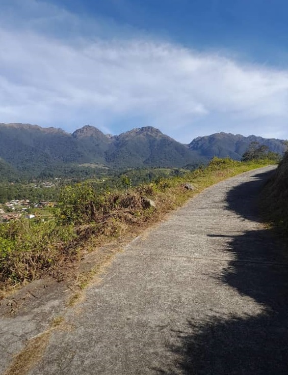 WhatsApp Image 2025-10-21 at 6.26.50 PM (1).jpeg