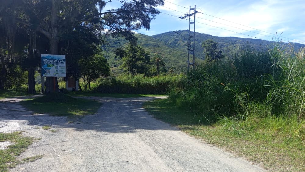 WhatsApp Image 2025-10-26 at 12.13.26 PM.jpeg