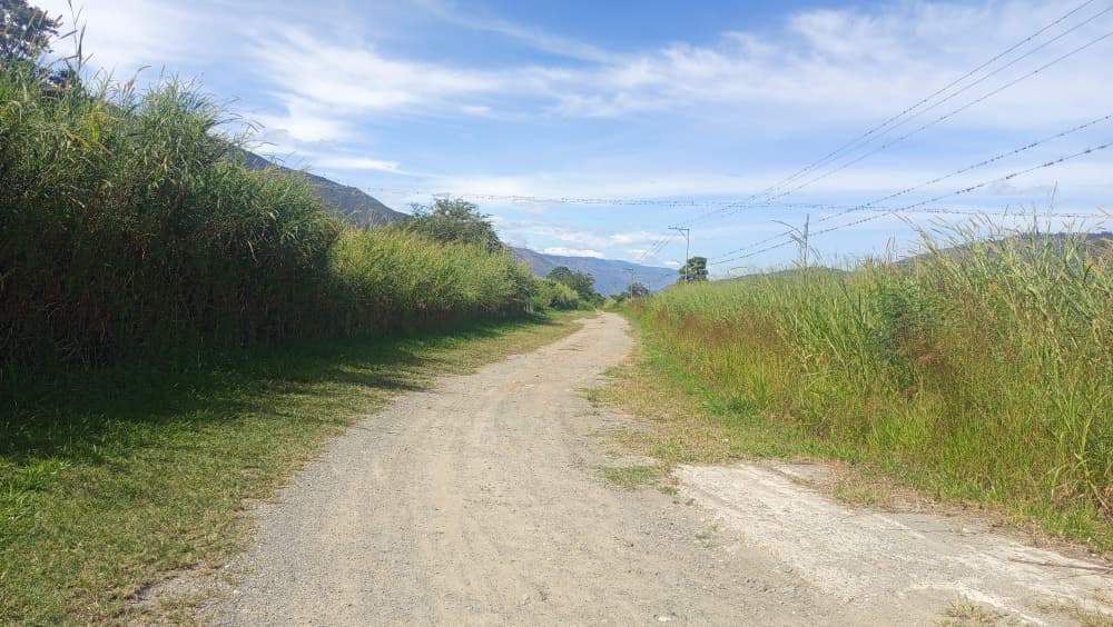 WhatsApp Image 2025-10-26 at 12.13.22 PM.jpeg