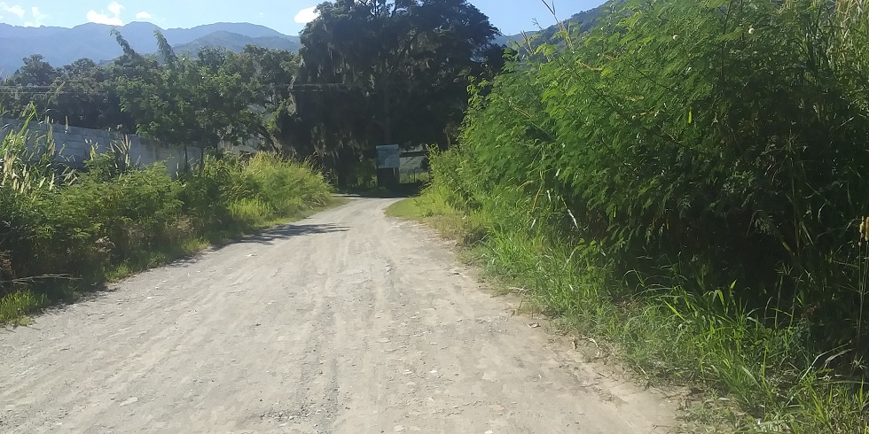 manga de coleo uno.jpg