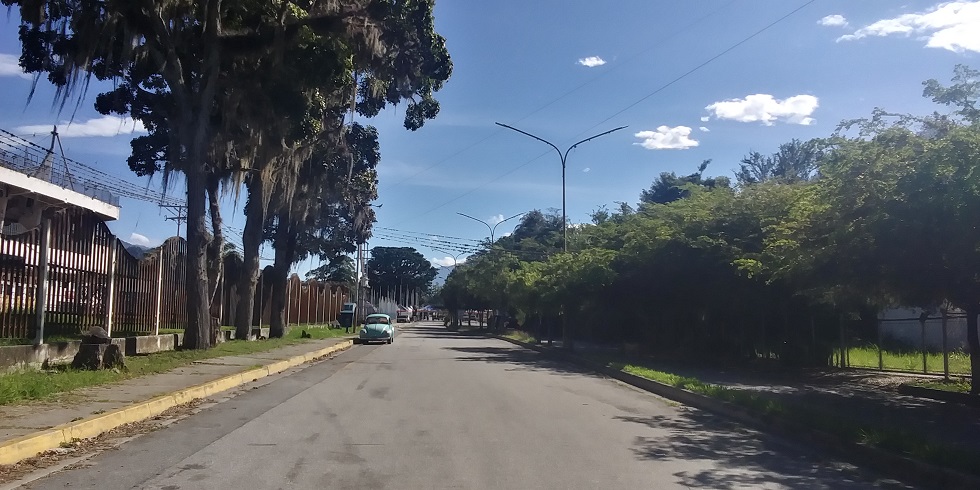 manga de coleo tres.jpg