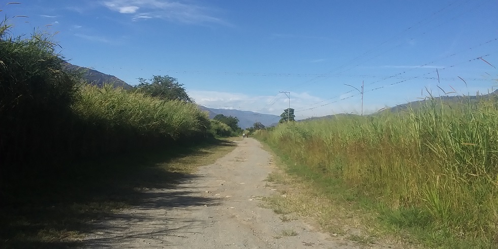 manga de coleo dos.jpg