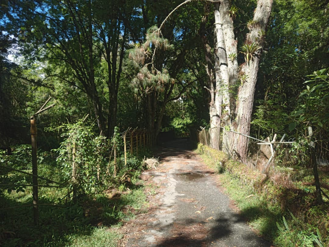 WhatsApp Image 2025-10-24 at 10.07.27 AM (1).jpeg