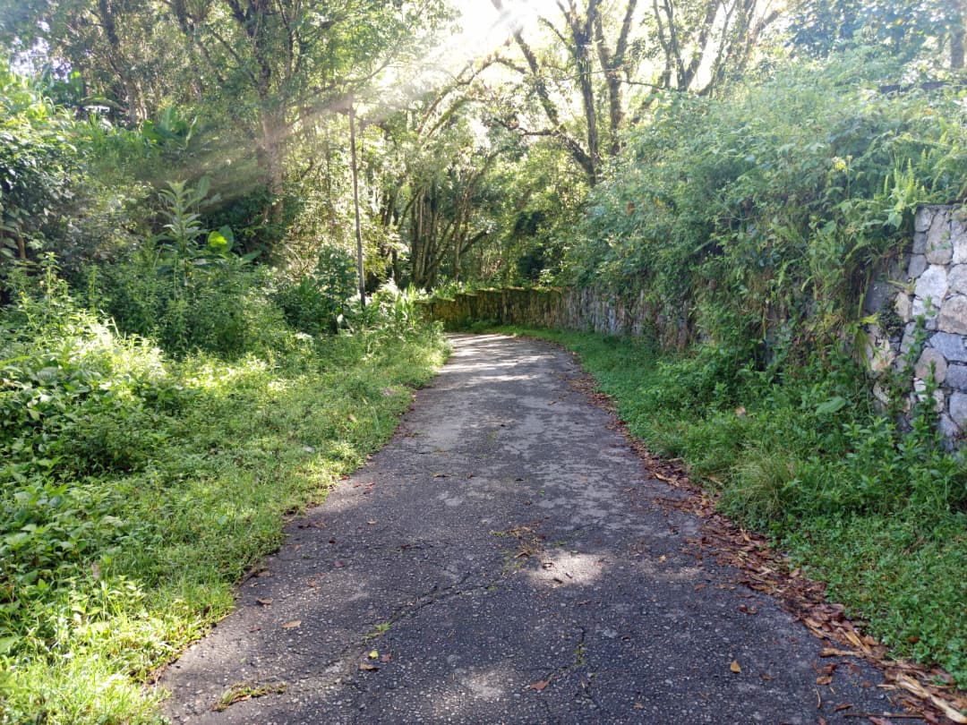 WhatsApp Image 2025-10-24 at 10.06.40 AM.jpeg