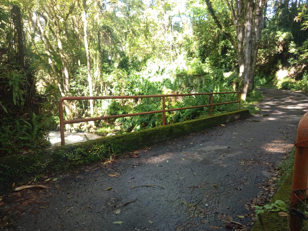 WhatsApp Image 2025-10-24 at 10.07.27 AM.jpeg